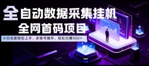 全自动数据采集挂G，全网首码项目，简单易操作，小白也能轻松上手，多账号操作，轻松日入500+【揭秘】| 鹿鸣网创