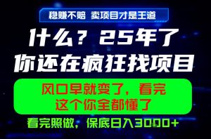 26年，请不要疯狂的找项目做了！卖项目才是真的稳賺不赔，看完照做，保底日入1k+【揭秘】| 鹿鸣网创