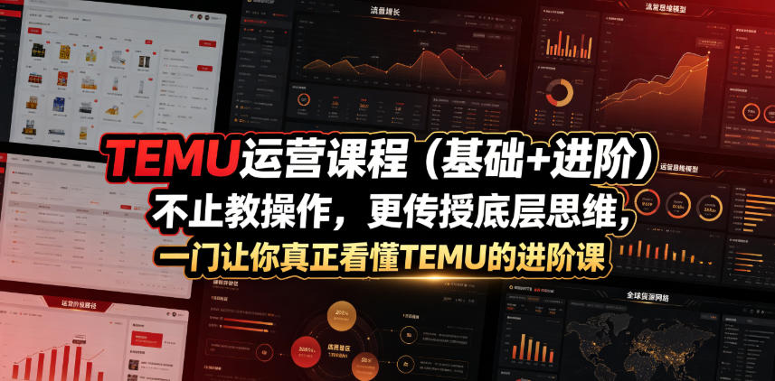 TEMU运营课程（基础+进阶），不止教操作，更传授底层思维，一门让你真正看懂TEMU的进阶课| 鹿鸣网创