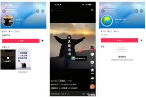最强抖音引流-隐藏式暂停跳钩子，效果自测| 鹿鸣网创