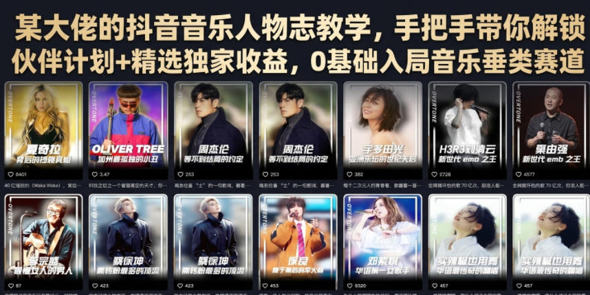 某大佬的抖音音乐人物志教学，手把手带你解锁伙伴计划+精选独家收益，0基础入局音乐垂类赛道| 鹿鸣网创