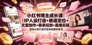 小红书博主成长课|IP人设打造+赛道定位+文案创作+薯条投放+直播实操,宝妈从零打造可变现自媒体账号| 鹿鸣网创