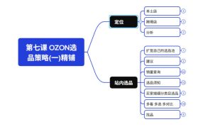 2026最新OZON全流程运营实操跨境电商平台教程，OZON全流程一站式系统学习必修课，从开店到跟卖到精铺| 鹿鸣网创