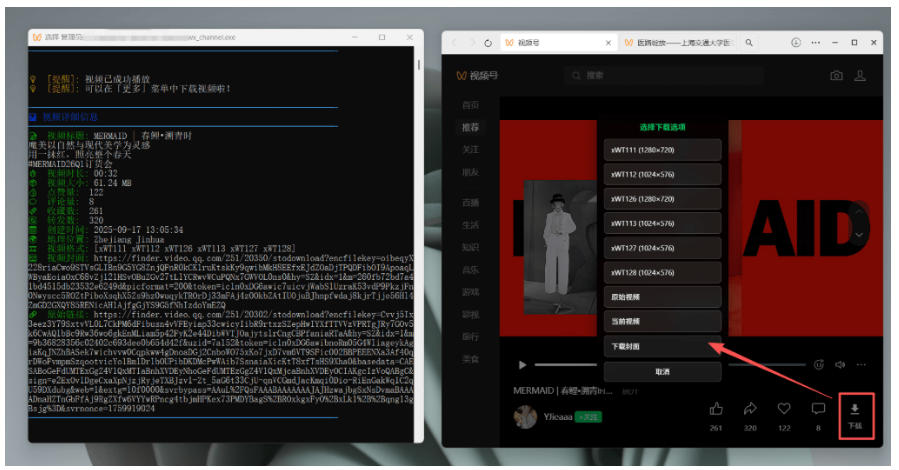 Github热门工具，视频号下载神器又来了！一键注入下载按钮，轻松下载，使用便捷wx_channel| 鹿鸣网创