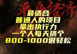 最适合普通人的项目，拿出执行力一个人每天搞个800-1k很轻松【揭秘】| 鹿鸣网创