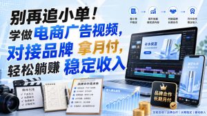 别再追小单！学做电商广告视频，对接品牌拿月付，轻松躺賺稳定收入【原创双语字幕】| 鹿鸣网创