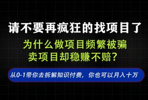 找项目？别傻了！卖项目才是真的一本万利！看完你全都懂了【揭秘】| 鹿鸣网创