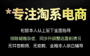 松鼠会电商VIP课程，从基础布局到高阶优化，助你掌握淘宝运营逻辑，提升店铺流量与转化（更新0823）| 鹿鸣网创