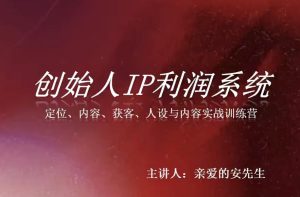 创始人IP利润系统8月训练营，定位、内容、获客、人设与内容实战训练营| 鹿鸣网创