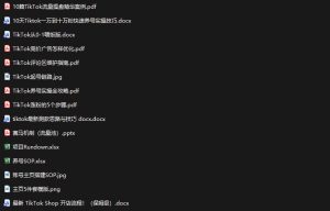 TikTok从0-1实操资料包：养号SOP+爆款公式+投流手册，新手30天可起号变现，抓住TikTok流量红利| 鹿鸣网创