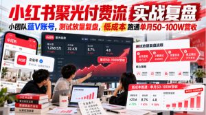 小红书聚光付费流实战复盘｜小团队蓝V账号，测试放量复盘，低成本跑通单月50‑100W营收【文档】| 鹿鸣网创