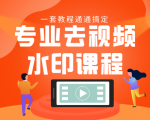 专业去视频水印教程 静态水印、动态水印、文字水印、图片水印一套教程通通搞定| 鹿鸣网创