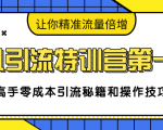 卓凡引流特训营第一期：高手零成本引流秘籍和操作技巧，让你精准流量倍增| 鹿鸣网创