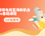 2020跨境电商蓝海新机会-SHOPEE基础课程：简单粗暴日报爆千单（27节课）| 鹿鸣网创