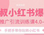 狼叔小红书爆款推广引流训练课4.0，手把手带你玩转小红书| 鹿鸣网创