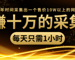 年赚十万的采集站，每天却只需要1小时，一年时间采集出一个售价10W以上的网站| 鹿鸣网创