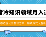 抖音冷知识领域月入过万项目，不适宜公开解决方案 ，抖音赚钱方式大解析！| 鹿鸣网创