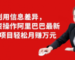 利用信息差异，零投资操作阿里巴巴最新管道项目轻松月赚10000+| 鹿鸣网创
