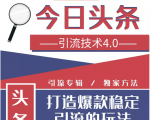 今日头条引流技术4.0，微头条实战细节，微头条引流核心技巧分析，快速发布引流玩法| 鹿鸣网创