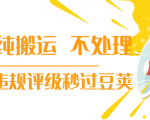 抖音纯搬运 不处理 小技巧，30秒发一个作品，避免违规评级秒过豆荚| 鹿鸣网创