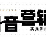 《12天线上抖音营销实操训练营》通过框架布局实现自动化引流变现| 鹿鸣网创