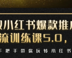 小红书爆款推广引流训练课5.0,手把手带你玩转小红书(17节实操视频+话术)| 鹿鸣网创