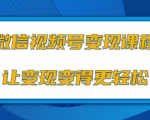 微信视频号变现项目,0粉丝冷启动项目和十三种变现方式| 鹿鸣网创