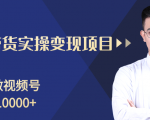 柚子分享课:微信视频号变现攻略,新手零基础轻松日赚千元| 鹿鸣网创