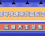 柚子视频号带货实操变现项目，零基础操作养身茶月入10000+| 鹿鸣网创