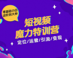 零基础小白进阶到大神《短视频魔力特训营》定位-运营-引流-变现| 鹿鸣网创