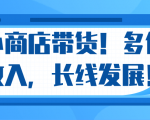 微信小商店带货，爆单多倍收入，长期复利循环！日赚300-800元不等| 鹿鸣网创