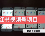 野路子小红书视频号1.0项目，直接上手操作就能赚钱的视频号项目| 鹿鸣网创