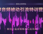 黄岛主·FM音频引流特训营2.0：独家引流模式，单账号50W+播放量，轻松变现| 鹿鸣网创