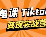 龟课·TikTok变现实战训练营线上第1期,多种变现模式,轻松赚美刀| 鹿鸣网创