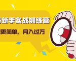 视频号新手实战训练营,让变现更简单,玩赚视频号,轻松月入过万| 鹿鸣网创