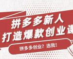 拼多多新人打造爆款创业课:快速引流持续出单,适用于所有新人| 鹿鸣网创