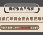 暴利偏门项目全套合集视频教程：你要的日赚1000+月入几万+项目都有| 鹿鸣网创