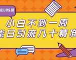清和行记引流训练营:小白不到一周便能日引流几十精准粉| 鹿鸣网创