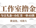 工作室撸金二件套：撸今日头条原创收益+小红书一单利润40块项目| 鹿鸣网创