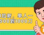 Paypal拉新赚美刀项目，单人一天利润500-1000刀【视频课程】| 鹿鸣网创