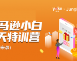 雨课·亚马逊小白特训营第9期 跨境电商挺赚钱的 有朋友已经月入几十万美金| 鹿鸣网创