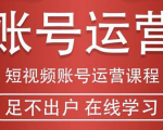 短视频账号运营课程:从话术到短视频运营再到直播带货全流程,新人快速入门| 鹿鸣网创