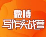 村西边老王·微博超级写作实战营,帮助你粉丝猛涨价值999元| 鹿鸣网创