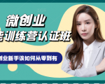 微创业全能训练营认证班课程,从理论知识与实际案例手把手指导创业新手如何从零到有| 鹿鸣网创
