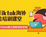 最新Tiktok海外掘金培训课堂：带你玩转Tiktok暴力涨粉轻松变现| 鹿鸣网创