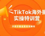 TikTok海外掘金实操特训营：手把手教运营变现赚钱| 鹿鸣网创