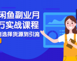 2021闲鱼副业月入过万实战课程：从开店到选择货源到引流，全程实战教学| 鹿鸣网创