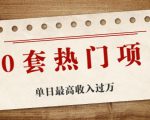 30套热门项目:单日最高收入过万 (网赚项目、朋友圈、涨粉套路、抖音、快手)等| 鹿鸣网创