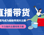 3天从菜鸟成为超级带货抖主播,千万级抖主播培育方案(价值980元)| 鹿鸣网创