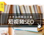 未来新趋势,布局短视频SEO,如何利用抖音SEO免费获得精准流量(3节课)| 鹿鸣网创